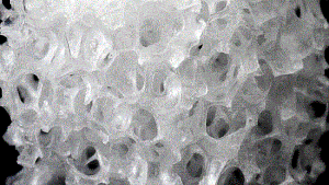 porous bioceramic