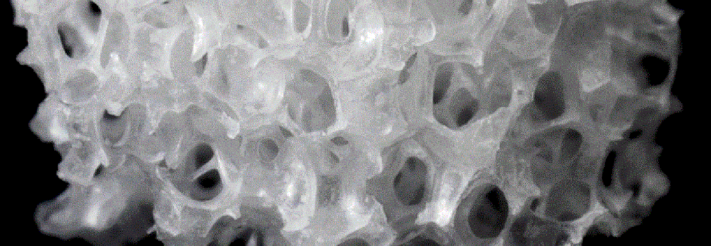 porous bioceramics sample